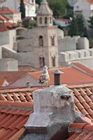 Resize of 20050923 081136_2.JPG: dubrovnik